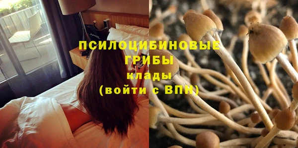 первитин Алексеевка