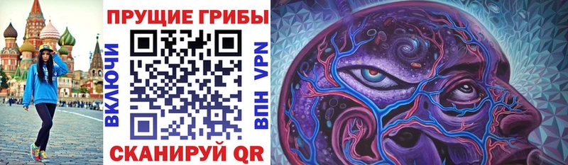 blacksprut ССЫЛКА  Владимир  нарко площадка формула  сколько стоит  Псилоцибиновые грибы мицелий 