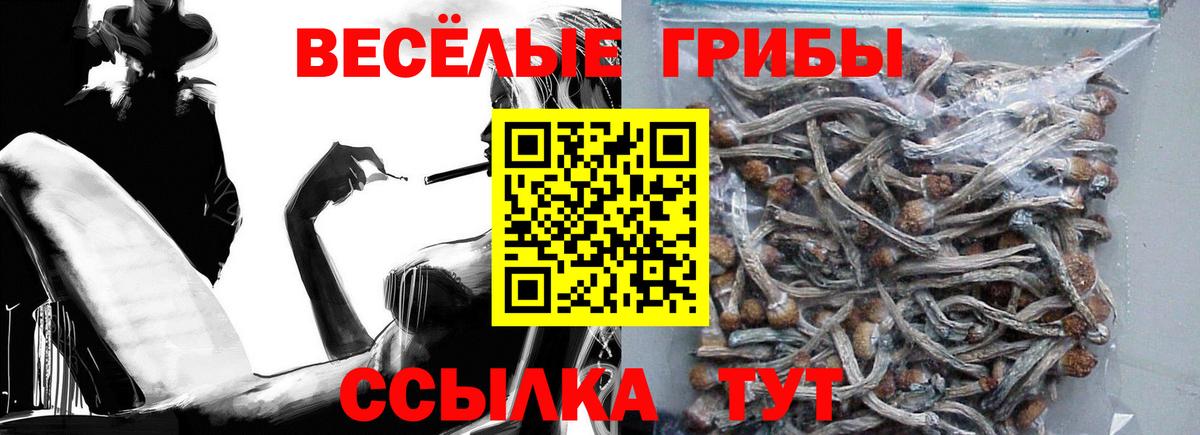 Владимир  Галлюциногенные грибы Psilocybe  Псилоцибиновые грибы Magic Shrooms  Вход с VPN 